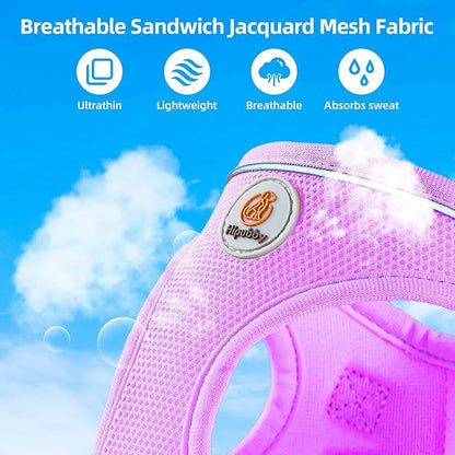 Hipubby Dog Harness and Leash Set, No Pull Soft Mesh Puppy Harness for Small Medium Dogs, Cats - Step in Reflective Breathable Lightweight Vest Harness for Walking, Training - Purple, S