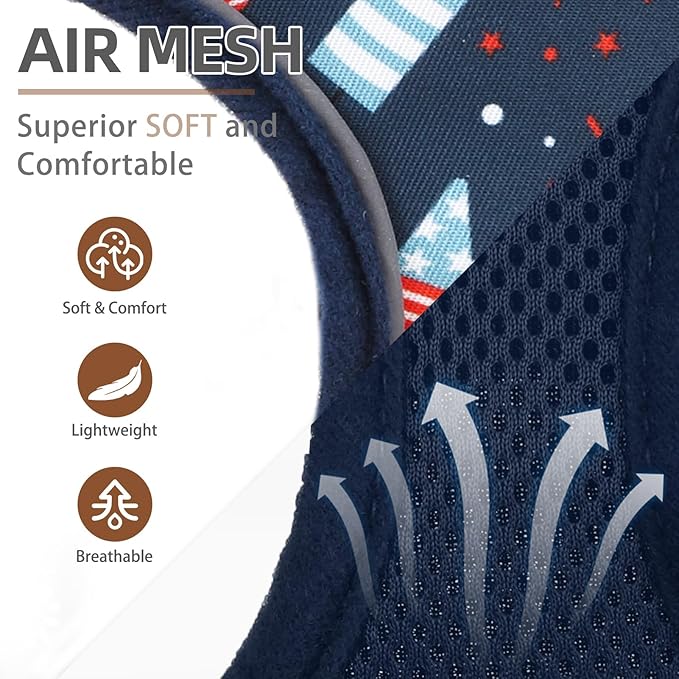 PUPTECK Soft Mesh Dog Harness and Leash Set Pet Puppy Cat Comfort Padded Vest No Pull Harnesses, Independence Dark Blue, S