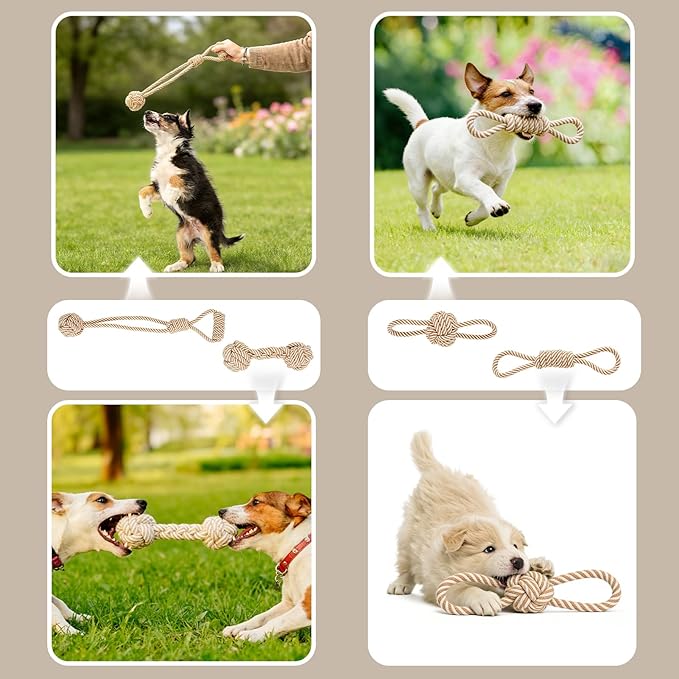 PATTEPOINT Dog Rope Toy for Small Dog 5pcs, Natural Chew Toys for Puppy, Medium & Small Dogs, Tug of War Rope for Puppies Clean & Relieve Teething