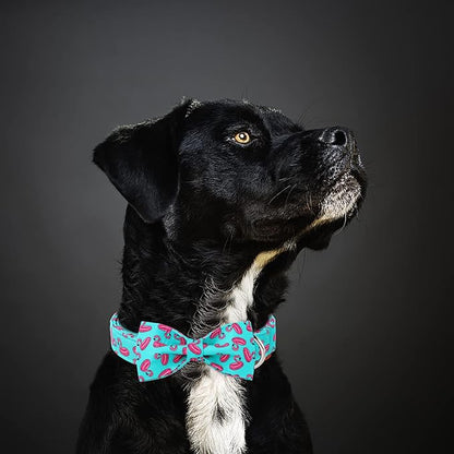 Summer Dog Collar with Bow Tie, Cute Flamingo Float Bowtie Dog Collar, Durable Adjustable Cotton Pet Collar for Small Medium Large Dogs XS