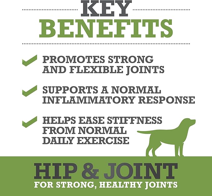 WINPRO Hip & Joint Supplement for Dogs - Plasma Powered Soft Chews for Joint Health & Mobility – Fast-Acting with Collagen & Natural Ingredients for Dogs of All Breeds – 60 Chews