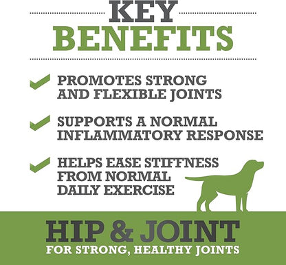 WINPRO Hip & Joint Supplement for Dogs - Plasma Powered Soft Chews for Joint Health & Mobility – Fast-Acting with Collagen & Natural Ingredients for Dogs of All Breeds – 60 Chews