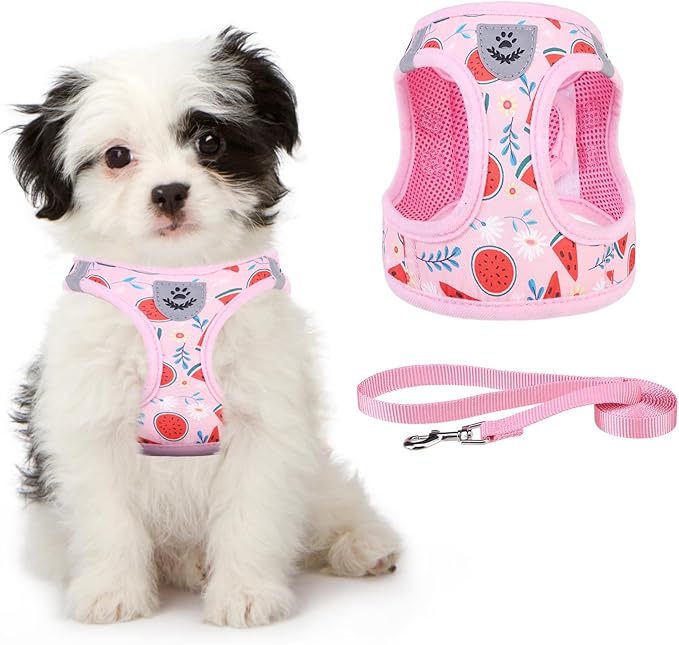 KOOLTAIL Dog Harness and Leash Set for Small Medium Dogs, Step in No Pull Soft Mesh Dog Harness Comfort Padded Pet Vest, Adjustable Reflective Easy Walking Puppy Cats Harness Training, Watermelon XS