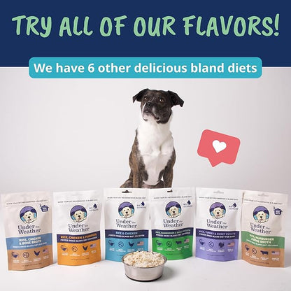 Under the Weather Easy to Digest Bland Dog Food Diet for Sick Dogs | Contains Electrolytes | Gluten Free, Freeze Dried 100% Human Grade Meats | 6 Pack - Rice, Hamburger & Bone Broth