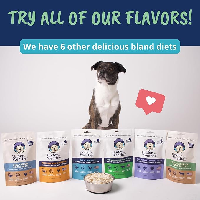 Under the Weather Bland Diet for Dogs | Easy to Digest for Sick Dogs |Always Be Ready| Contains Electrolytes - Natural Freeze Dried 100% Human Grade Meats| 1 Pack- Rice, Hamburger & Sweet Potato - 6oz