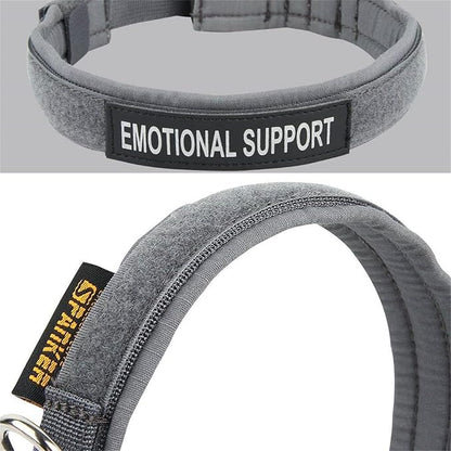 EXCELLENT ELITE SPANKER Nylon Puppy Dog Collar Adjustable Soft Padded Collar Heavy Duty Quick-Release Buckle Lightweight No-Choke for Small Medium Dogs(Grey,s)