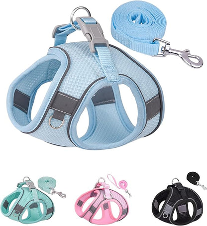 Solmoony Dog Harness for Small Medium Dogs No Pull, Puppy Harness and Leash Set, Puppy Harness for Small Dogs, Step in Harness for Small Dogs, mesh Dog Harness. (Bule, L)