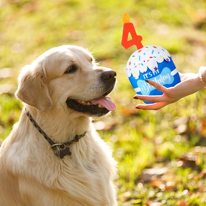 Dog Birthday Cake Toy Accessories for Girl Boy Gifts, Squeaky Plush Toy for Dog Birthday Party Decor Favor for Large, Medium and Small Dogs(4th,Blue)