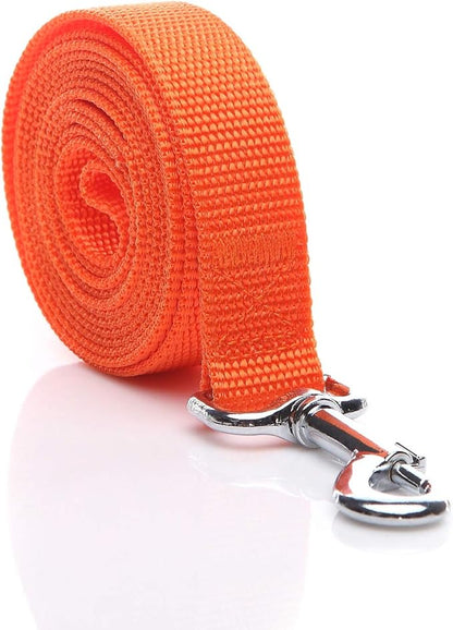 Nylon Dog Leash 10 Feet Long, Walking Training Dog Leashes for Medium Large Dogs, 1 Inch Wide (Orange)
