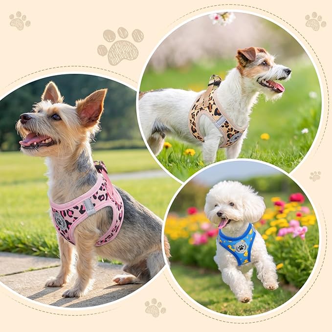 BEAUTYZOO Step in Dog Harness and Leash Set,Reflective Dog Harness No Pull No Choke Puppy Harness for Small Medium Dogs Cats,Soft Padded Mesh Vest Harnesses for Girl and Boy Pets,Leopard Pink M