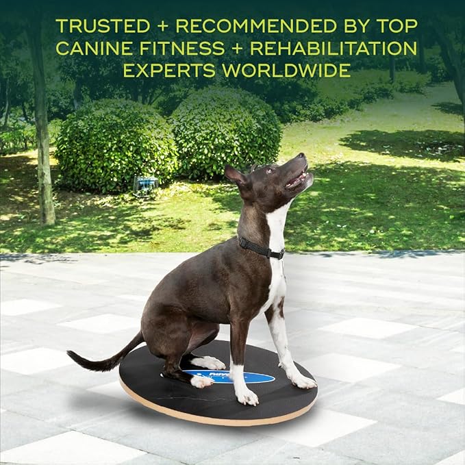 FitPaws Wobble Board - Dog Balance Training Equipment for Core Strength & Stability Canine Fitness & Rehabilitation Tool