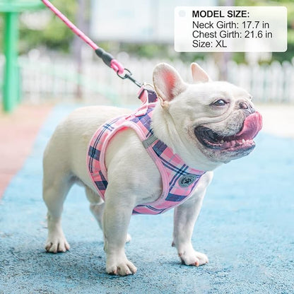 BEAUTYZOO Small Dog Harness and Leash Set,Step in No Choke No Pull Soft Mesh Dog Harnesses Reflective for Extra-Small/Small Medium Puppy Dogs and Cats, Plaid Dog Vest Harness for XS S Pets, Pink M