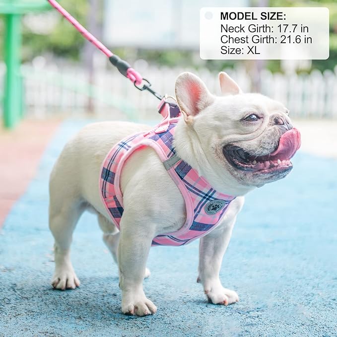BEAUTYZOO Small Dog Harness and Leash Set,Step in No Choke No Pull Soft Mesh Dog Harnesses Reflective for Extra-Small/Small Medium Puppy Dogs and Cats, Plaid Dog Vest Harness for XS S Pets, Pink L