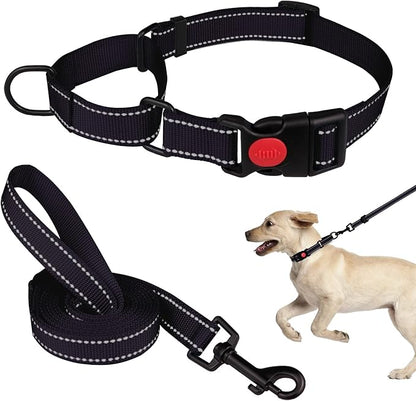 Martingale Dog Collar and Leash Set Martingale Collars for Dogs Reflective Martingale Collar for Small Medium Large Dogs(Black&S)