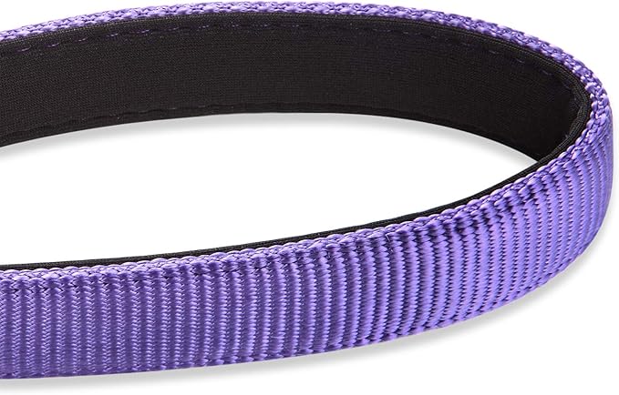Hyhug Pets 24 Inches Nylon Durable Short Leash with Comfort Handle and Lightweight Aviation Aluminium Carabiner Lead - Large Dogs Walking,Training. (24 Inches, Ultra Violet)