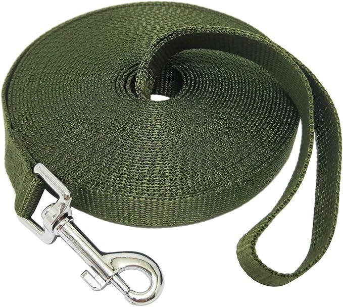 Nylon Training Dog Leash for Small Medium Large Dogs, 15ft 20ft 30ft 50ft Long Leash Dog/Puppy Lead for Obedience Recall Training, Camping (1" x 50ft, Green)