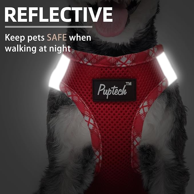 PUPTECK Dog Harness and Leash Set for Small Medium Dogs No Pull Step-in Soft Mesh Puppy Cat Vest Harnesses Reflective at Night, Red, XS