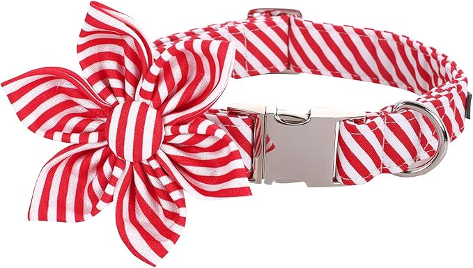 Lionet Paws Dog Collar with Flower, Soft and Comfortable, Adjustable Collar for Small Dogs Girl, Neck 10-16 inches