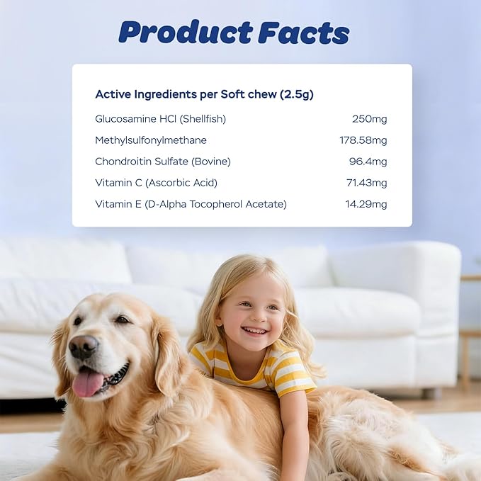Dog Hip & Joint Supplement with Glucosamine, Chondroitin & MSM – Joint Support Chews with Vitamins C & E for Dogs 120 Soft Chews