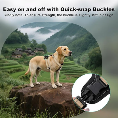 Plutus Pet Adjustable No Pull Dog Harness with Leather Accents, Heavy Duty Reflective Nylon Vest for Training, Hiking, Easy Walk Harness for Small, Medium, Large Dogs (Beige, M)