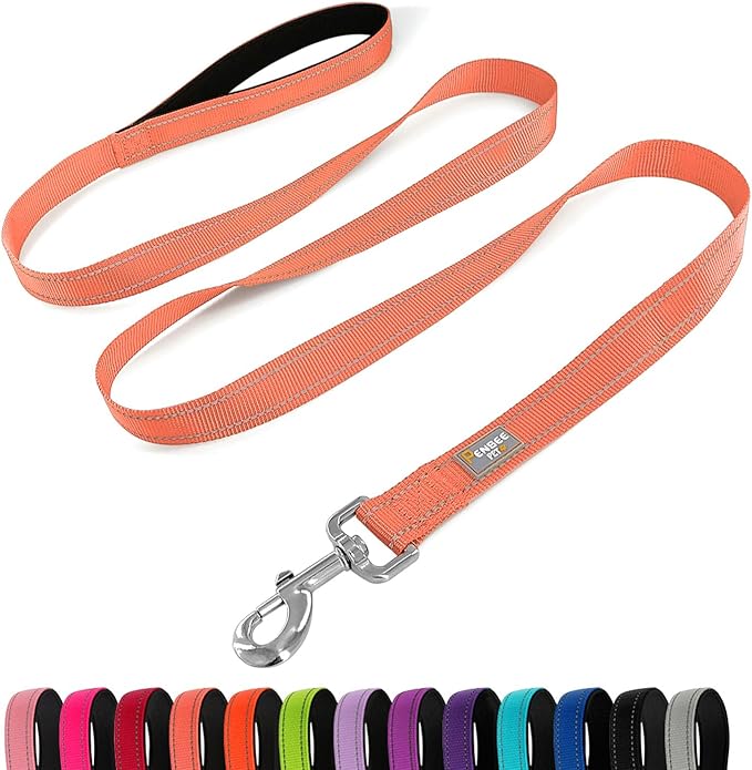 Reflective Dog Leash 6 FT Padded Handle Nylon Dogs Leashes for Large Dogs Coral