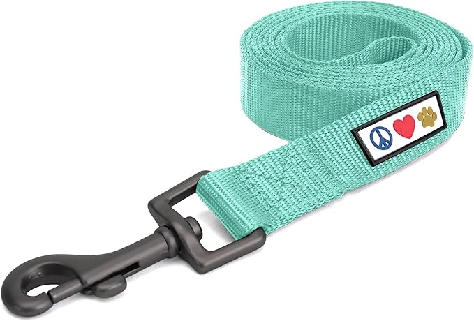 Pawtitas Solid 6 ft Teal Dog Leash XXS/Cat Custom Name and Phone Embroidery Strong Nylon Leash for Small Breeds