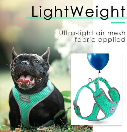 ThinkPet Reflective Breathable Soft Air Mesh No Pull Puppy Choke Free Over Head Vest Ventilation Harness for Puppy Small Medium Dogs and Cats(XS,Green)