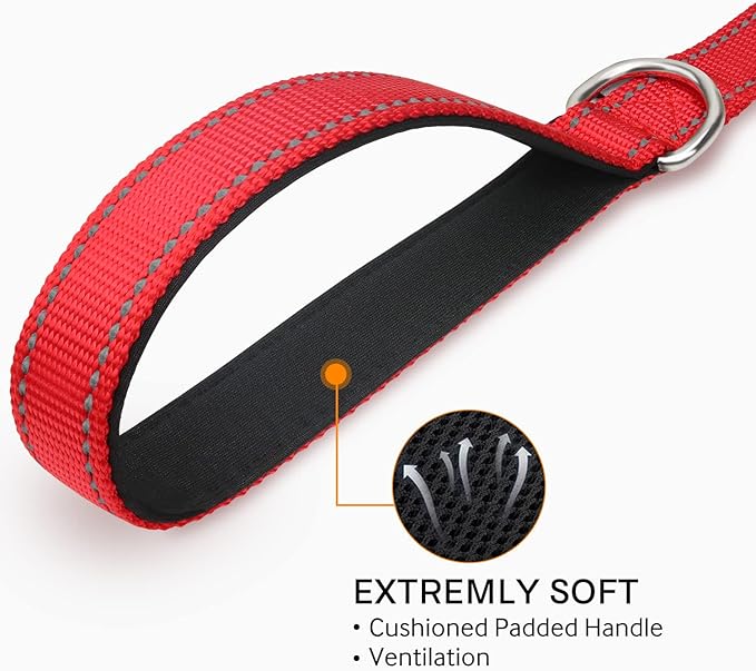 Joytale Double-Sided Reflective Dog Leash, 4 FT, Padded Handle Nylon Heavy Duty Leashes for Small & Medium Dogs Walking, Red