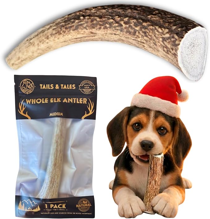Tails & Tales Whole Elk Antler for Dogs Medium 5-7" Long-Lasting & Durable Dog Bones for Aggressive Chewers or Teething Puppies No Additives, Premium Grade A, Naturally Shed in USA