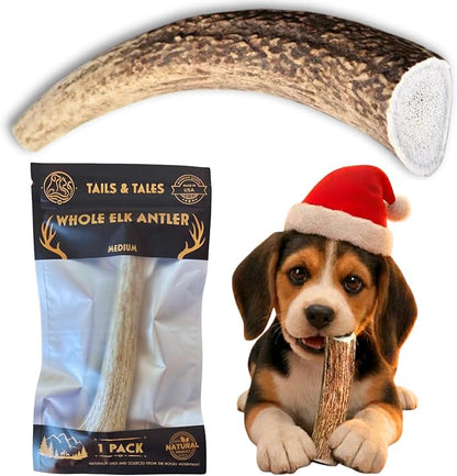 Tails & Tales Whole Elk Antler for Dogs Medium 5-7" Long-Lasting & Durable Dog Bones for Aggressive Chewers or Teething Puppies No Additives, Premium Grade A, Naturally Shed in USA
