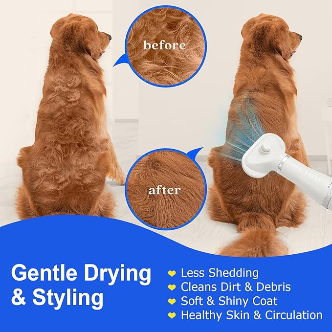 3-in-1 Pet Hair Dryer Brush for Dogs & Cats – Portable Blower & Slicker Brush, Adjustable Temperature, Overheat Protection