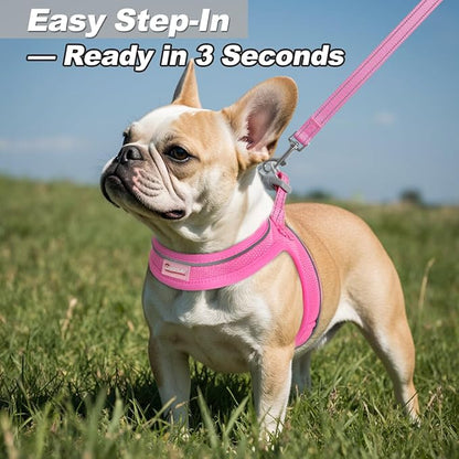 Dog Harness and Leash Set,Step in Small Sized Dog Harness,Soft Mesh,No-Chock,Reflective Adjustable,Secure with Hook & Loop Fastener,Puppy Vest for Small,Medium Dogs(Pink,XS)