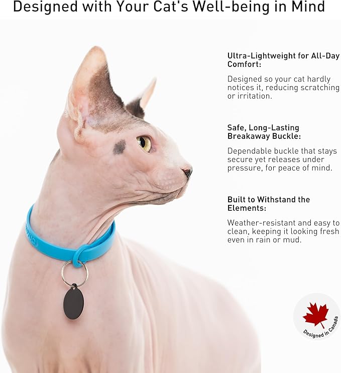 Nuvuq Breakaway Cat Collar - Soft, Comfortable, and Lightweight Safety Buckle Collar with ID Tag Ring for Outdoor Cats and Sensitive Skin Kittens (6 ⅞" to 10 ¼", Blue)