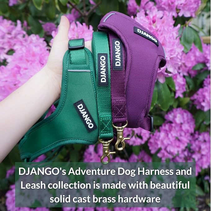 DJANGO Adventure Dog Leash – Strong, Comfortable, and Stylish Dog Leash with Solid Brass Hardware and Padded Handle - Designed for Outdoor Adventures and Everyday Use (Forest Green)