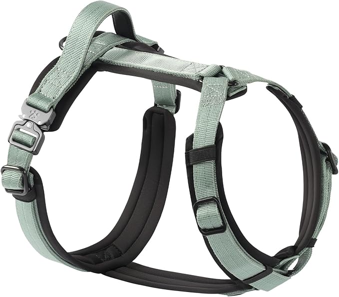 PawsPassion Dog Harness for Medium Dogs, No Pull Dog Harness Easy Walk with Metal Hardware, Ergonomic Y-Shaped Design, Soft Padding, Padded Handle, Durable High-Tensile Nylon (Seabreeze, M)