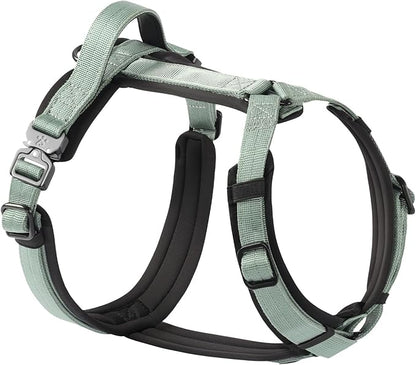 PawsPassion Dog Harness for Medium Dogs, No Pull Dog Harness Easy Walk with Metal Hardware, Ergonomic Y-Shaped Design, Soft Padding, Padded Handle, Durable High-Tensile Nylon (Seabreeze, M)