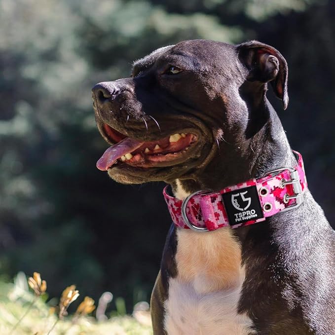TSPRO Tactical Dog Collar, Adjustable, with Patch & Double Needle Metal Buckle, Heavy Duty for Large to Extra Large Dogs, Durable for Walking, Running, Hiking & Training (Camo Pink L-XL)