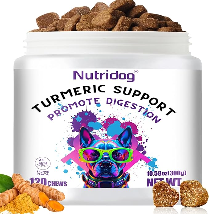 Turmeric Chews for Dogs with Curcumin & Coconut Oil Joint Pain Relief, Anti-Inflammatory Antioxidant Support, 120 Salmon-Flavored Soft Chews for Hip & Joint Mobility (120 Ct, Salmon)