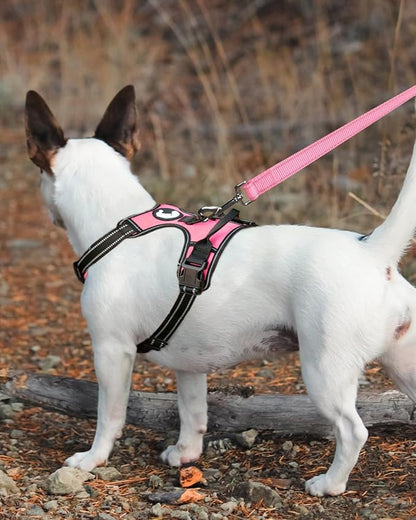 Joytale Double-Sided Reflective Dog Leash, 4 FT, Padded Handle Nylon Heavy Duty Leashes for Medium & Large Dogs Walking, Pink