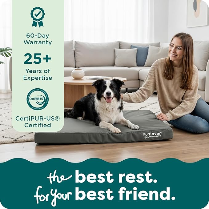 Furhaven Water-Resistant Orthopedic Dog Bed for Large/Medium Dogs w/ Removable Washable Cover, For Dogs Up to 55 lbs - Indoor/Outdoor Logo Print Oxford Polycanvas Mattress - Forest, Large