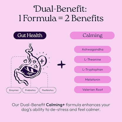 New! WellJoy Dog Supplement Calming+ GutBoost | Dog Health Supplement | Promotes Relaxation & Calmness | Dual-Benefit GutBoost Formulation | Vet Formulated | USA Made | Chicken Flavor | 90 Soft Chews