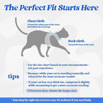 rabbitgoo Cat Harness and Leash Set for Walking Escape Proof, Adjustable Soft Kittens Vest with Reflective Strip for Cats, Comfortable Outdoor Vest, Blue, S