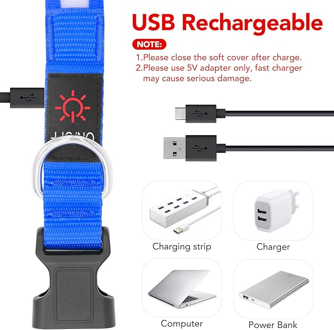 Vizpet LED Dog Collar, Light Up Dog Collar Adjustable USB Rechargeable Super Bright Safety Light Glowing Collars for Dogs(Small,Blue)