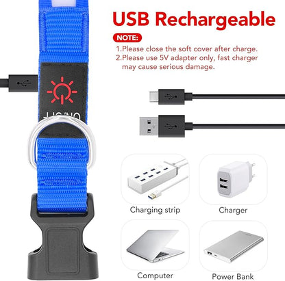 Vizpet LED Dog Collar, Light Up Dog Collar Adjustable USB Rechargeable Super Bright Safety Light Glowing Collars for Dogs(Small,Blue)
