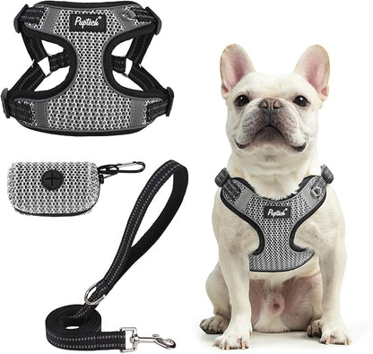 PUPTECK Dog Harness and Leash Set Small Sized, Step in No Pull Adjustable Puppy Cat Harness Reflective Pet Vest