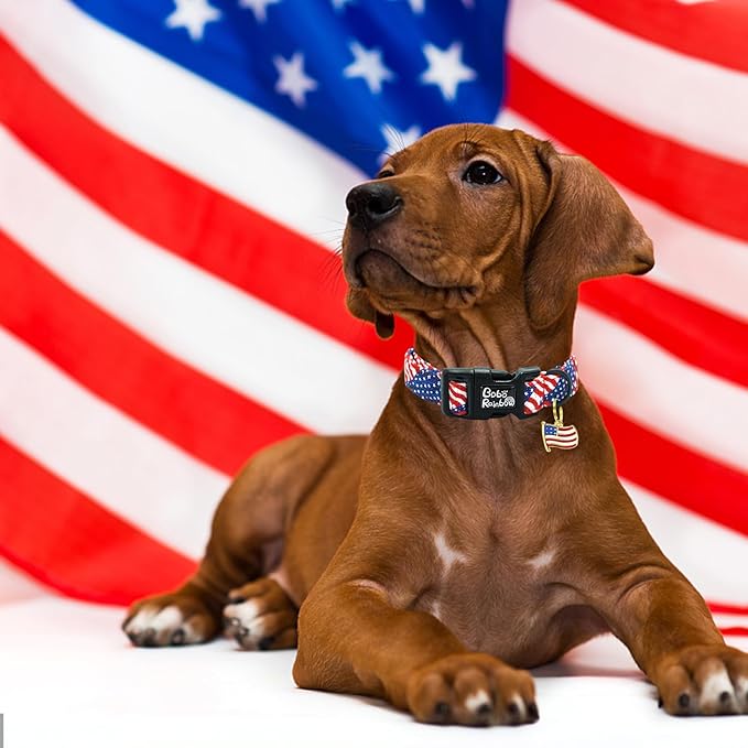 Independence Dog Collar-USA Flag Print Pet Collar Adjustable Cute Soft Comfortable Cotton Collars Holiday Puppy Collar Gift for X-Small Dogs