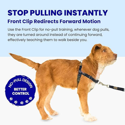 Freedom No Pull Dog Harness, Easy Walker, Stop Pulling with Two Stainless D-Rings, Comfortable, Sewn-in Instructions Tags for Easy Use, for Small Dogs Weight 20-30 lbs (Black, Small)
