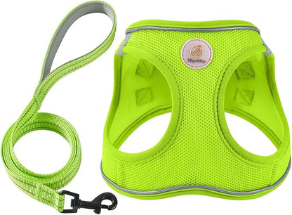 Hipubby Dog Harness and Leash Set, No Pull Soft Mesh Puppy Harness for Small Medium Dogs, Cats - Step in Reflective Breathable Lightweight Vest Harness for Walking, Training - Bright Green, L