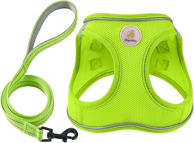 Hipubby Dog Harness and Leash Set, No Pull Soft Mesh Puppy Harness for Small Medium Dogs, Cats - Step in Reflective Breathable Lightweight Vest Harness for Walking, Training - Bright Green, S