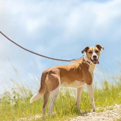 Mile High Life Rope Leash with Genuine Leather Connection, 6 FT/5 FT/4 FT, Heavy Duty Leash for Small Medium & Large Dogs(Brown,60 Inch)
